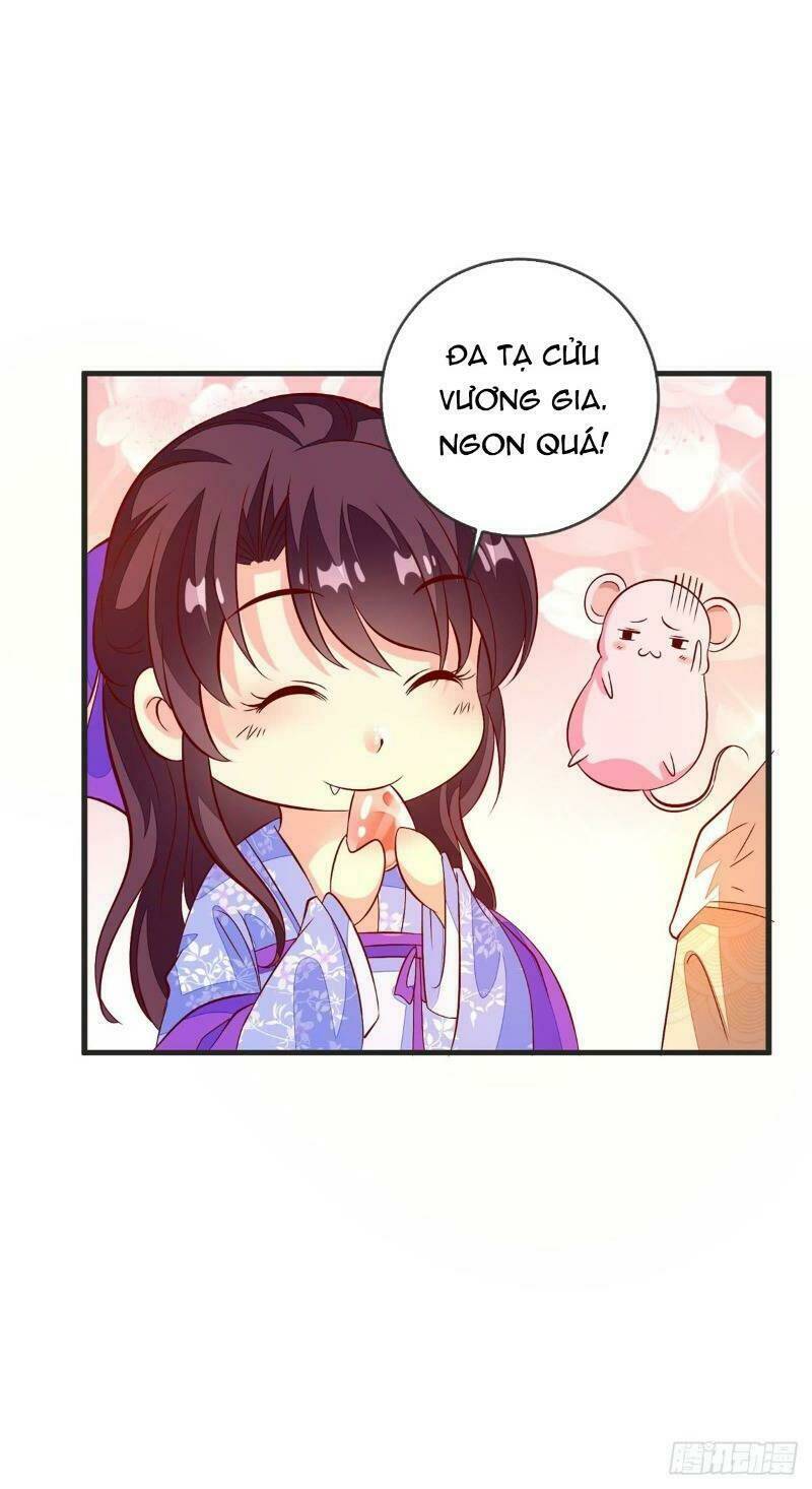 Đế Hoàng Chi Thần Y Khí Phi: Chapter 43