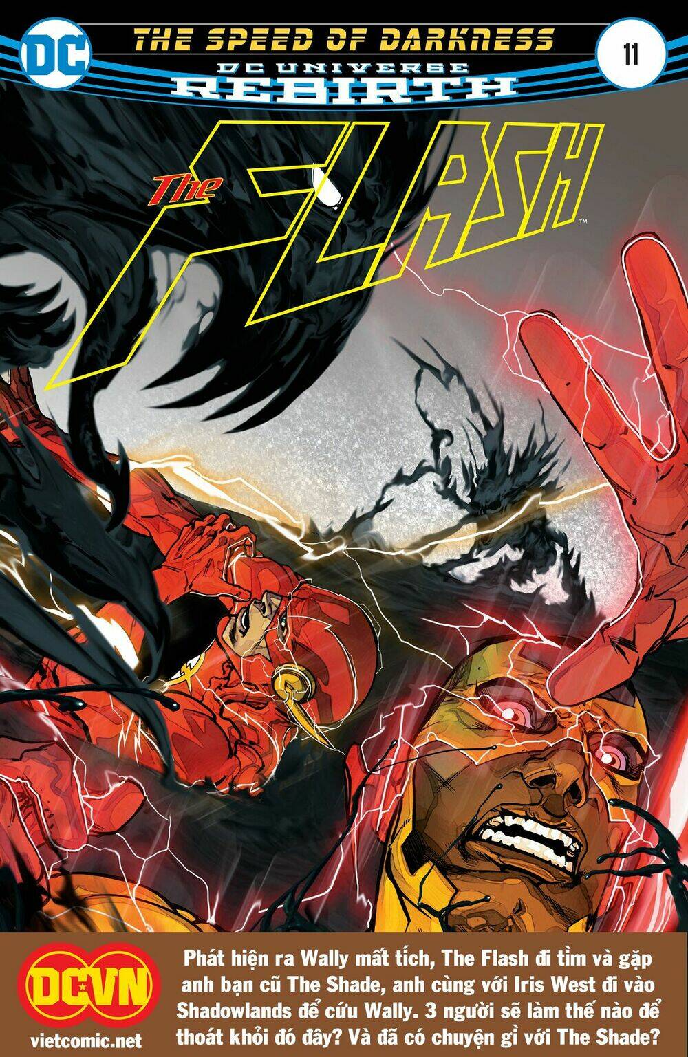 The Flash: Chapter 11