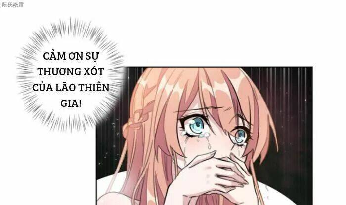 Trọng Sinh Noãn Hôn Khinh Sủng Thê: Chapter 2