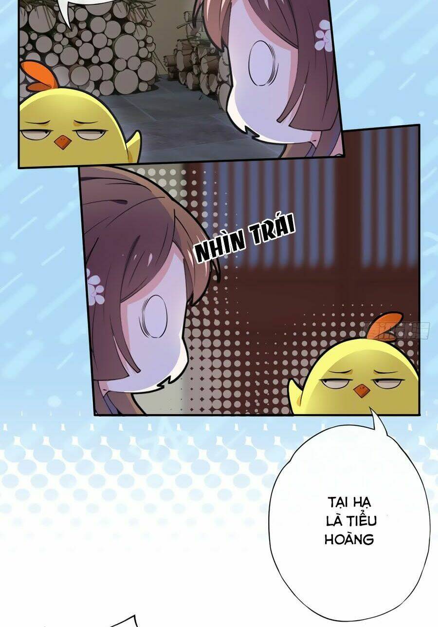 Vương Phi Có Chút Nghịch Ngợm: Chapter 1