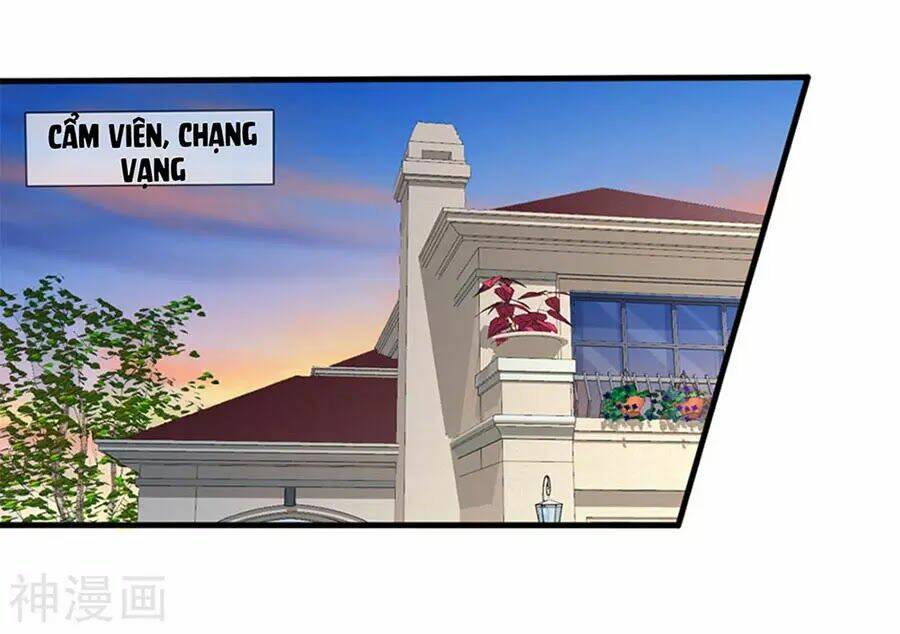 Mỹ Vị Giai Thê: Chapter 74