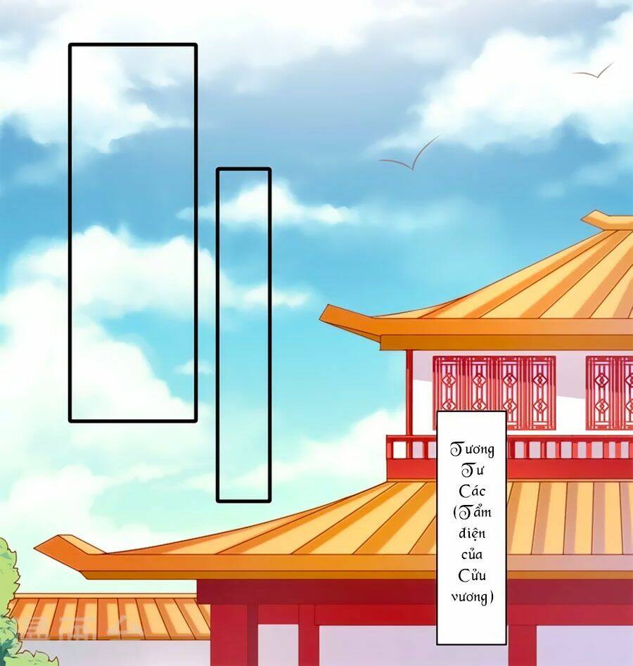 Khuynh Thế Y Phi Muốn Bỏ Chồng: Chapter 79