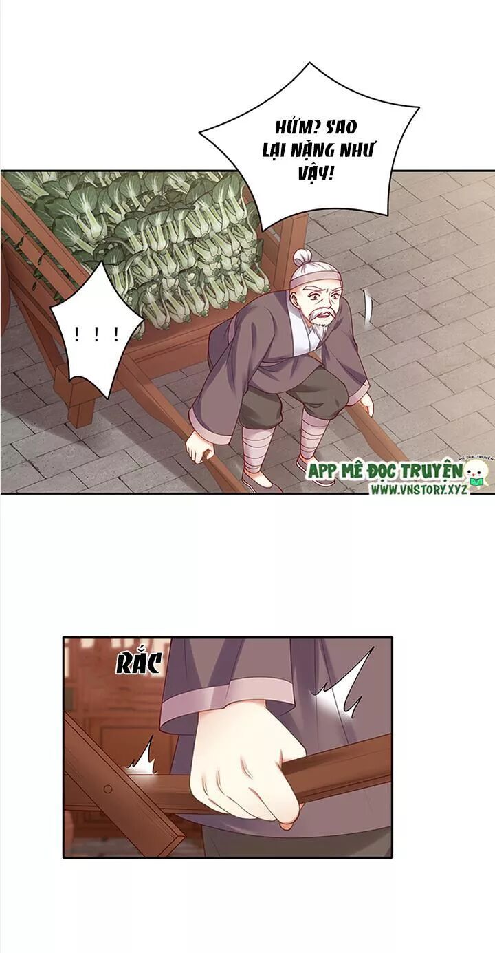 Đô đốc đại nhân sủng thê kí: Chapter 88: Cuối cùng cũng tìm được ngài rồi