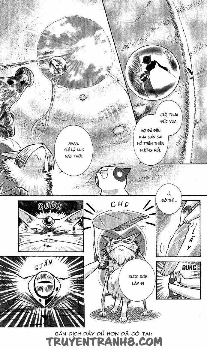 Lời Thì Thầm Từ Trái Tim: Chapter 8