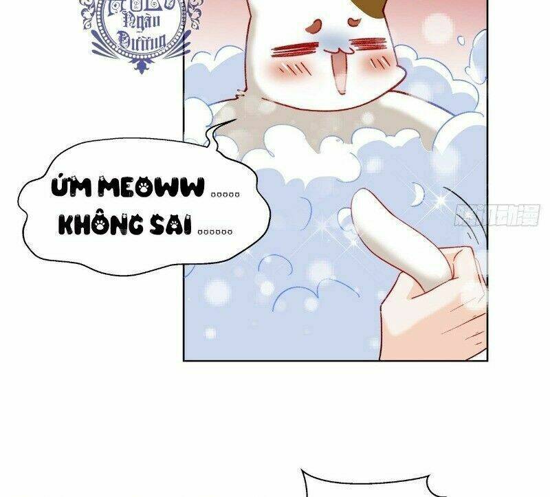 Ảnh Đế Yêu Hồ: Chapter 39