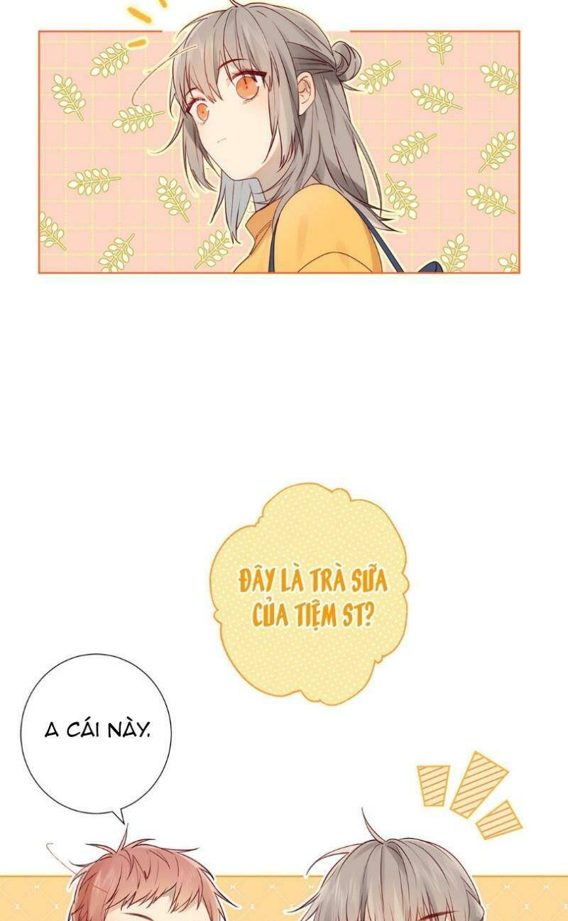 Lời Thề Như Sương Triều: Chapter 16