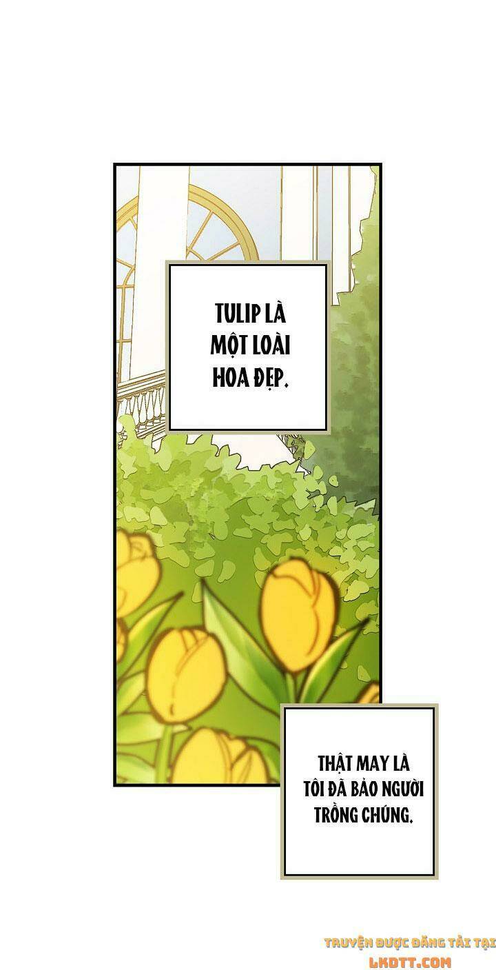 Hoàng Phi Bóng Tối: Chapter 21