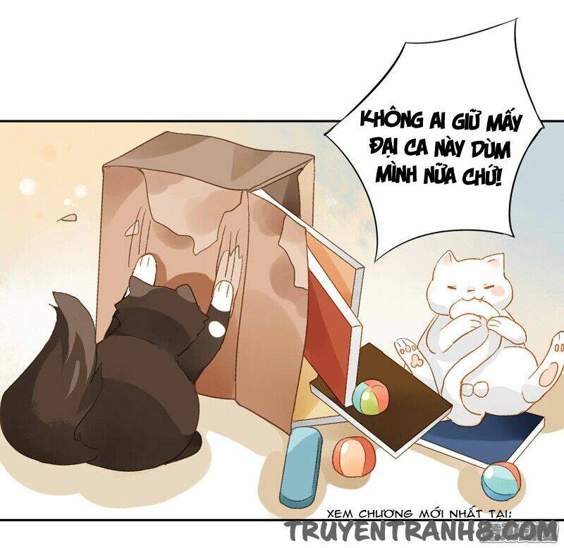 Sức Mạnh Của Sắc Đẹp: Chapter 130