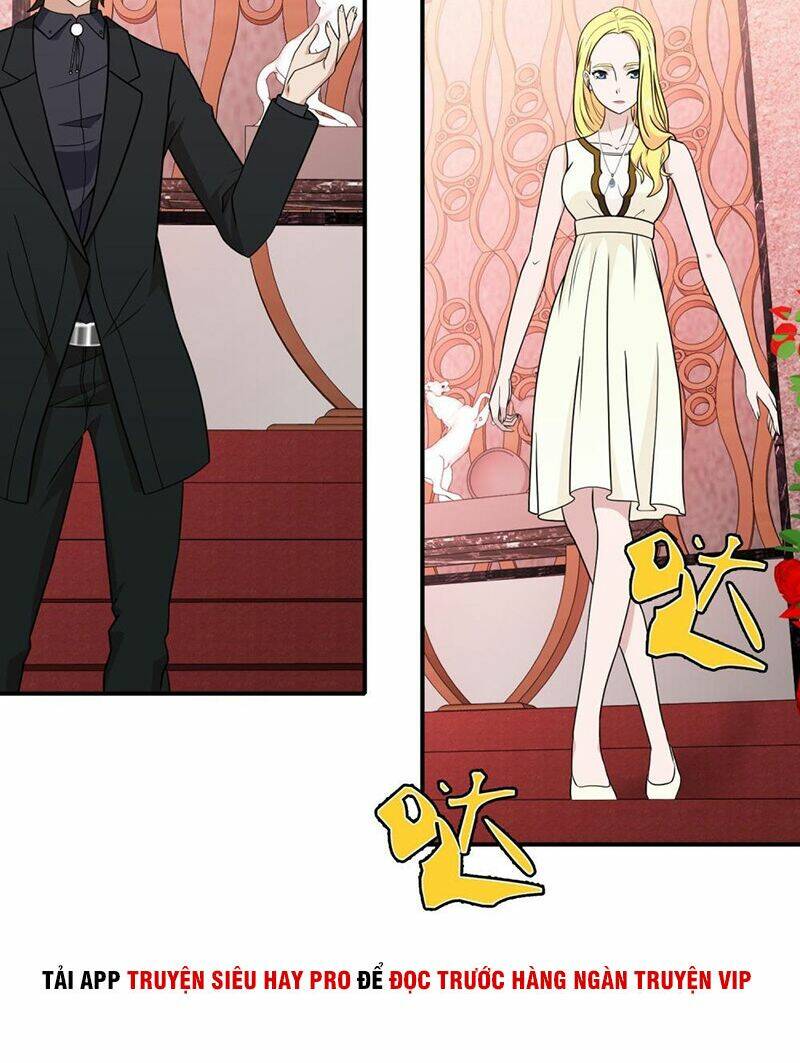 Hộ Hoa Cao Thủ Tại Đô Thị: Chapter 142