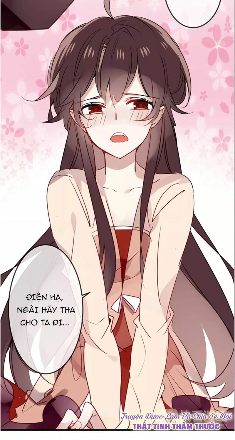 Ngô hoàng tại thượng: Chapter 5