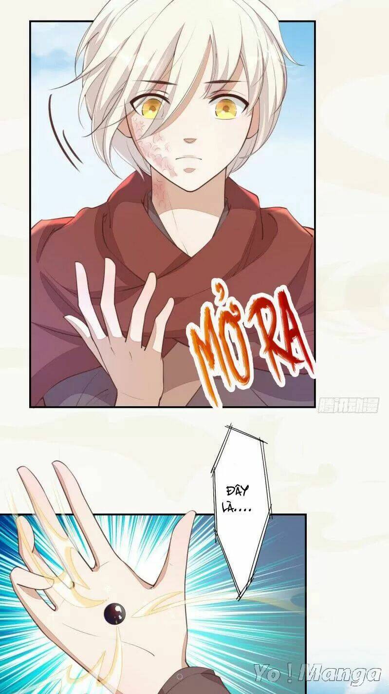 Tuyệt Thế Luyện Đan Sư: Chapter 66