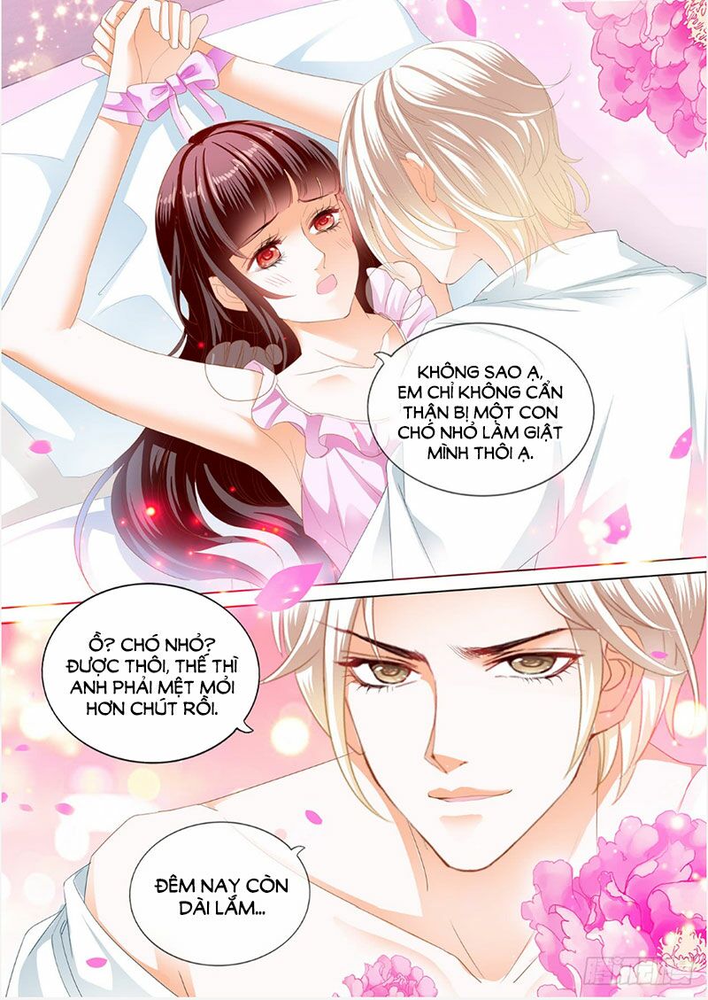 Thiểm Hôn Kiều Thê: Chapter 242
