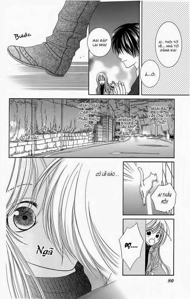 My Dear Cat: Chapter 1