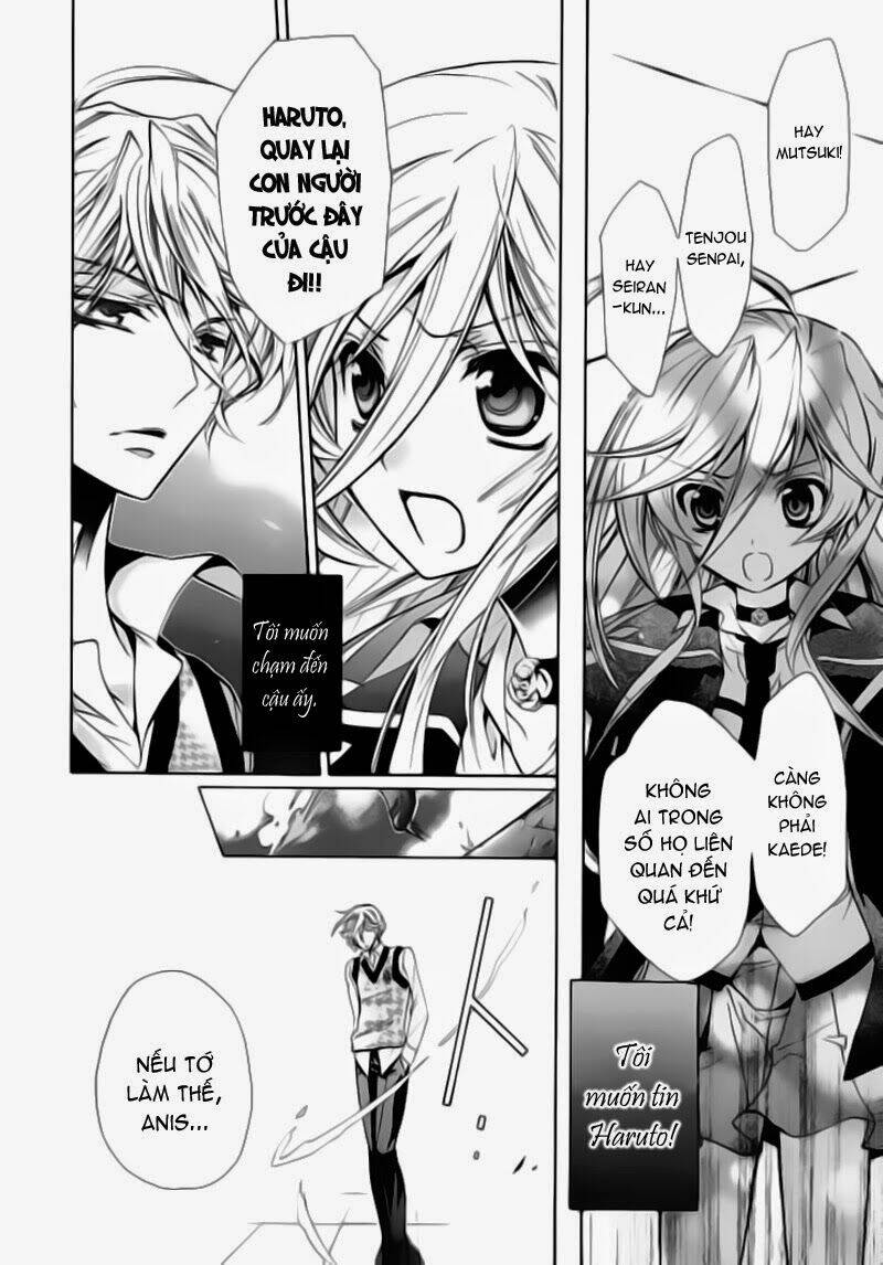 Nụ Hôn Của Công Chúa Tường Vi: Chapter 9