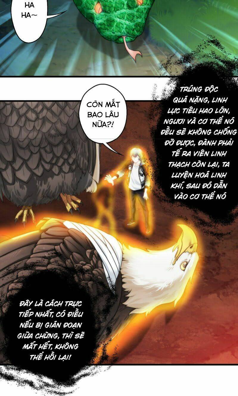 Ta Tu Linh Mạch Ở Hoa Hạ: Chapter 9