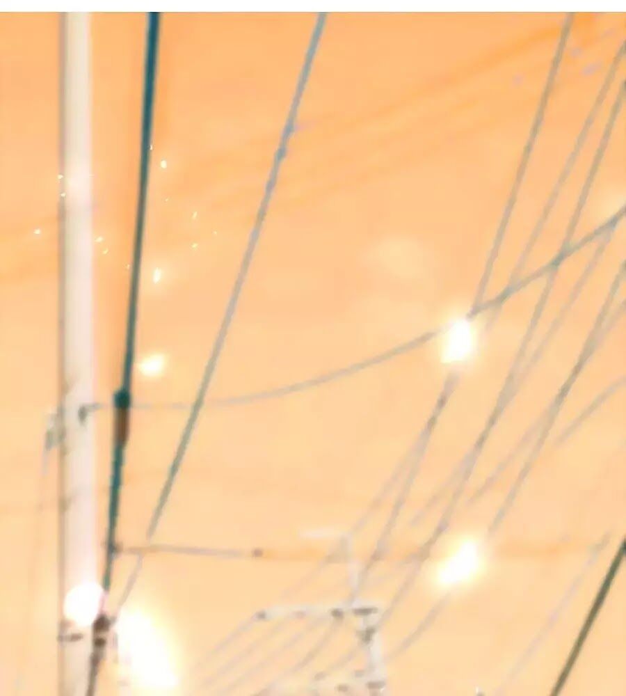 Hoa Chưa Nở Rộ: Chapter 10