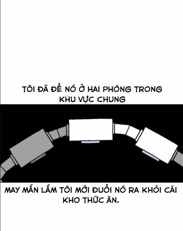 Mắc Kẹt Trên Mặt Trăng: Chapter 11