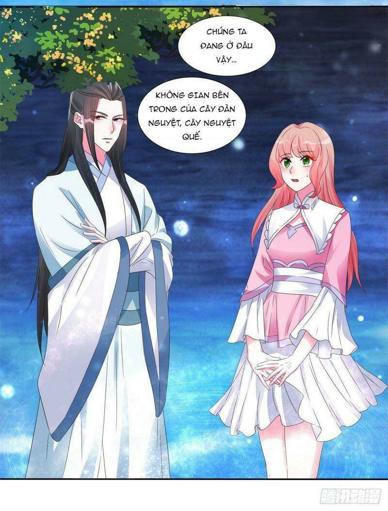 Đặc Công Cuồng Phi: Tuyệt Thế Tu Chân: Chapter 21