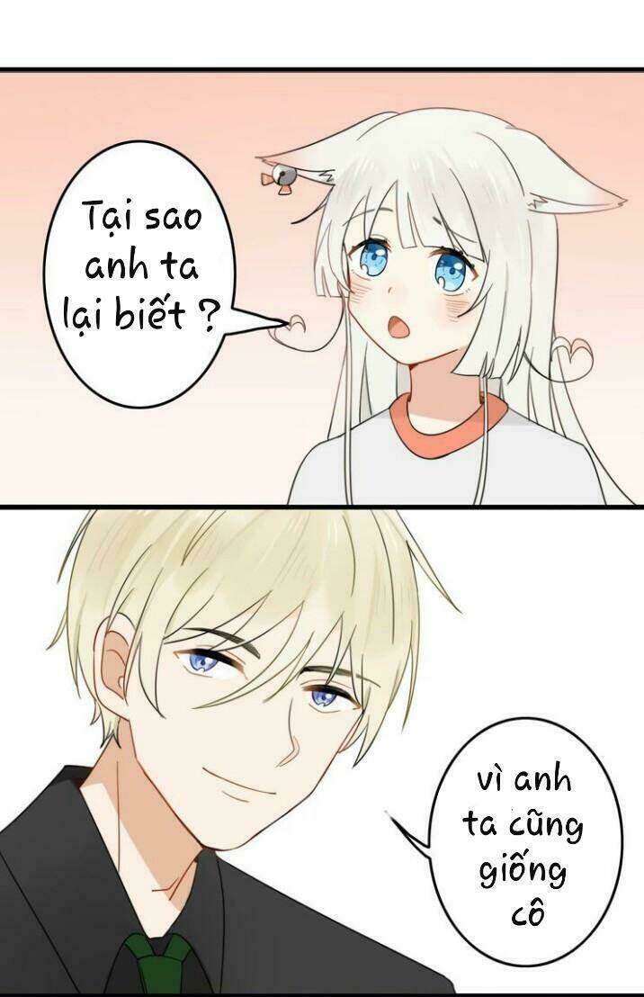 Thú Sủng Của Tôi Bị Mất Trí Rồi: Chapter 2