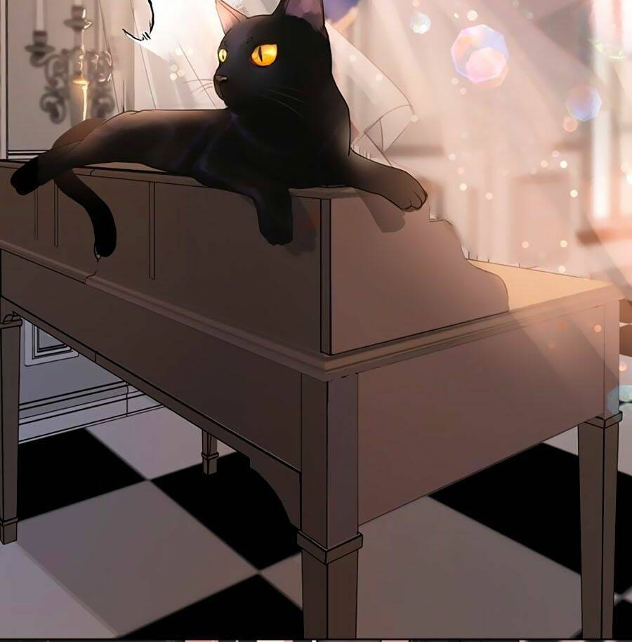 Quang Chi Vũ: Chapter 2.2