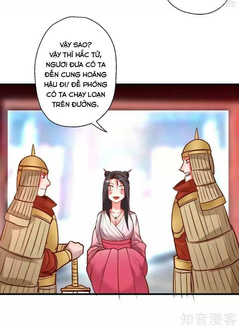 Tối Cường Đại Biểu Hoàng Kim Thận: Chapter 81