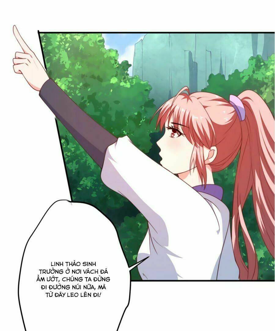 Khuynh Thế Y Phi Muốn Bỏ Chồng: Chapter 10