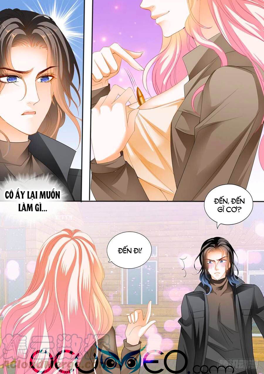 Bá Đạo Tiểu Thúc, Xin Trêu Chọc Vừa Thôi!: Chapter 250