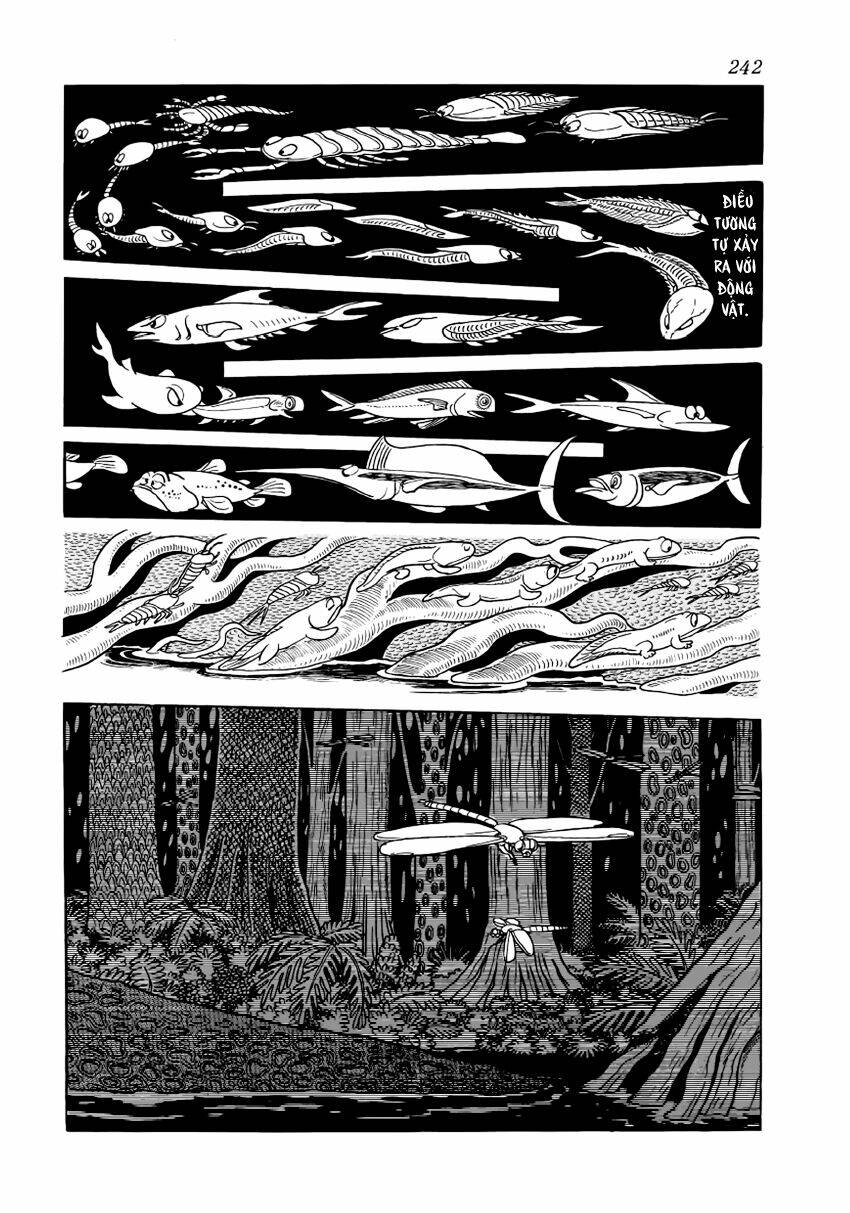 Chim Lửa: Chapter 28