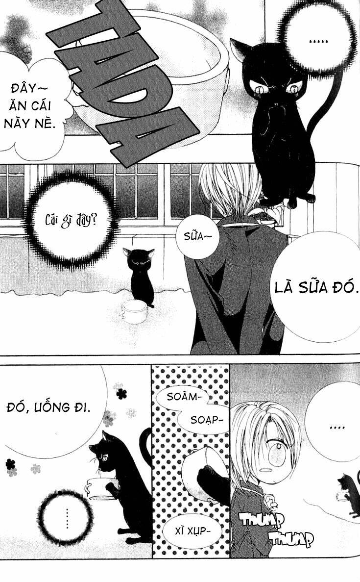 Adventure And Trouble Diary: Chapter 1