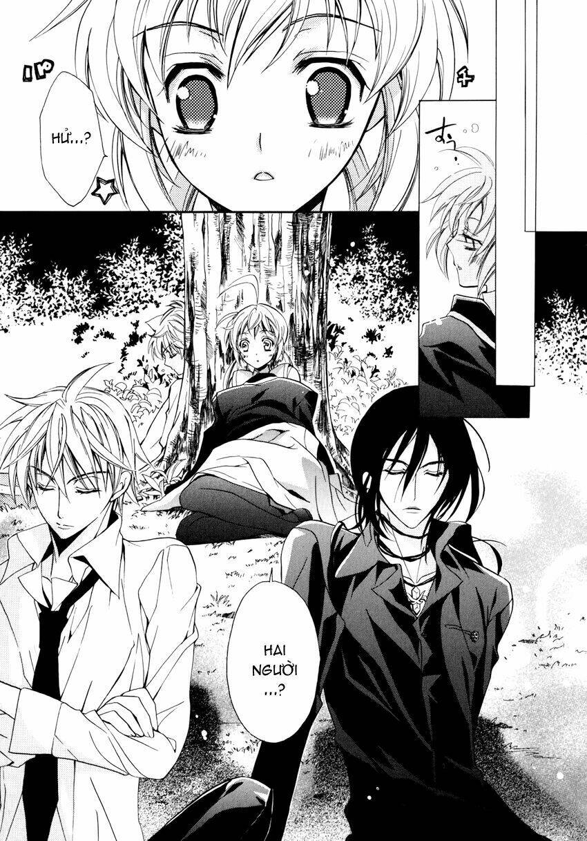 S.L.H (Stray Love Hearts): Chapter 4