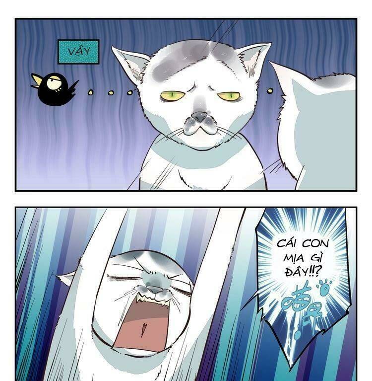 Thời Khắc Ấy, Chúng Ta Gặp Nhau: Chapter 2