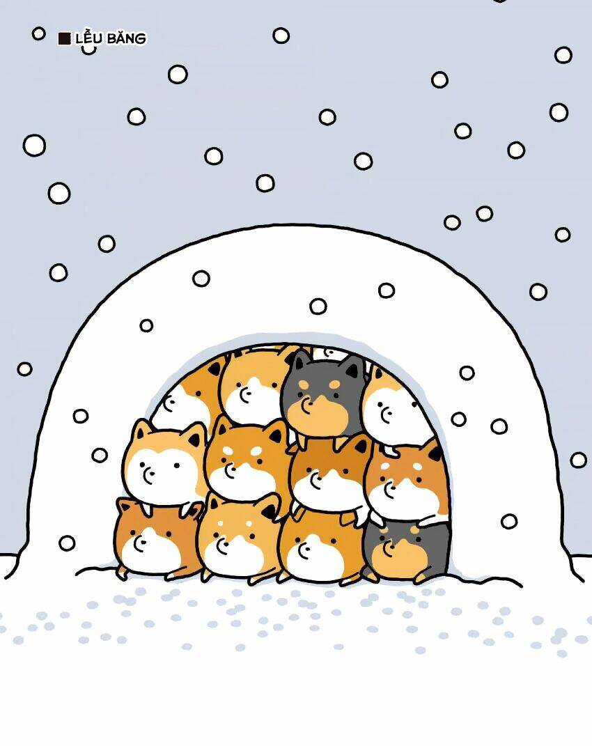 Taru Shiba: Chapter 6