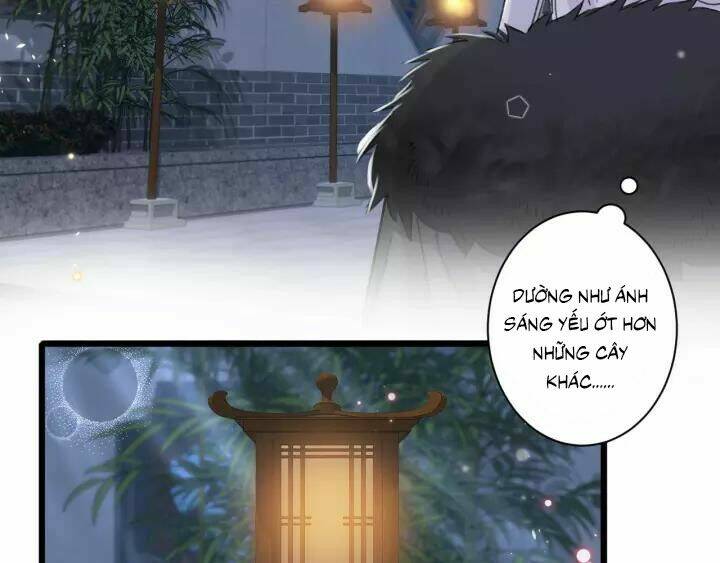 Hoa Nhan Sách: Chapter 167