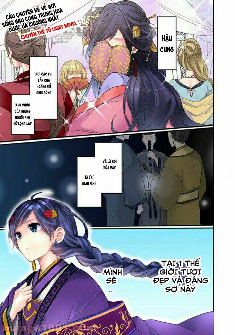 Người Quản Lí Của Hậu Cung Phi: Chapter 1