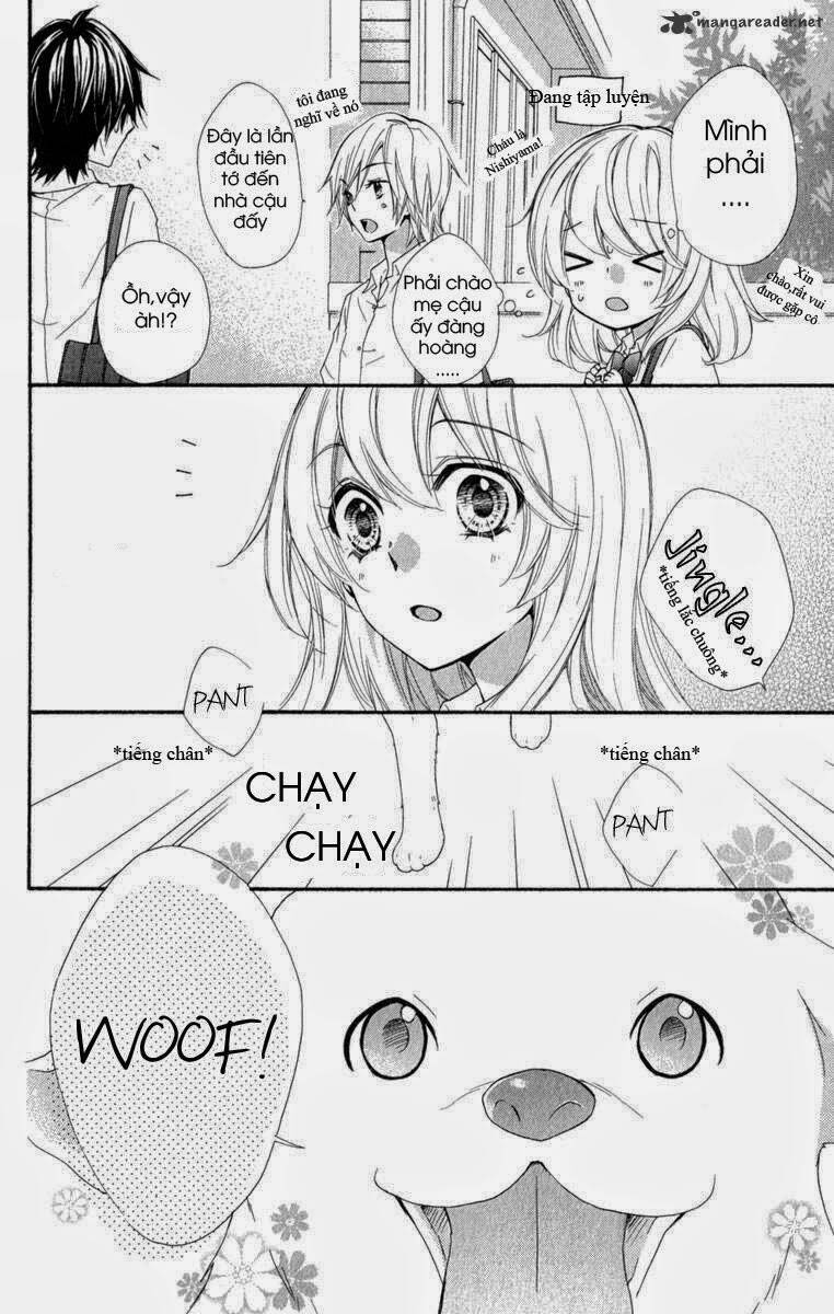 Tình Yêu Của Hiyo: Chapter 21