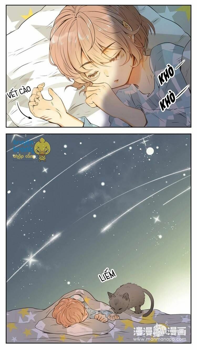 Cứu mạng ! Loài mèo thống trị thế giới rồi !: Chapter 26