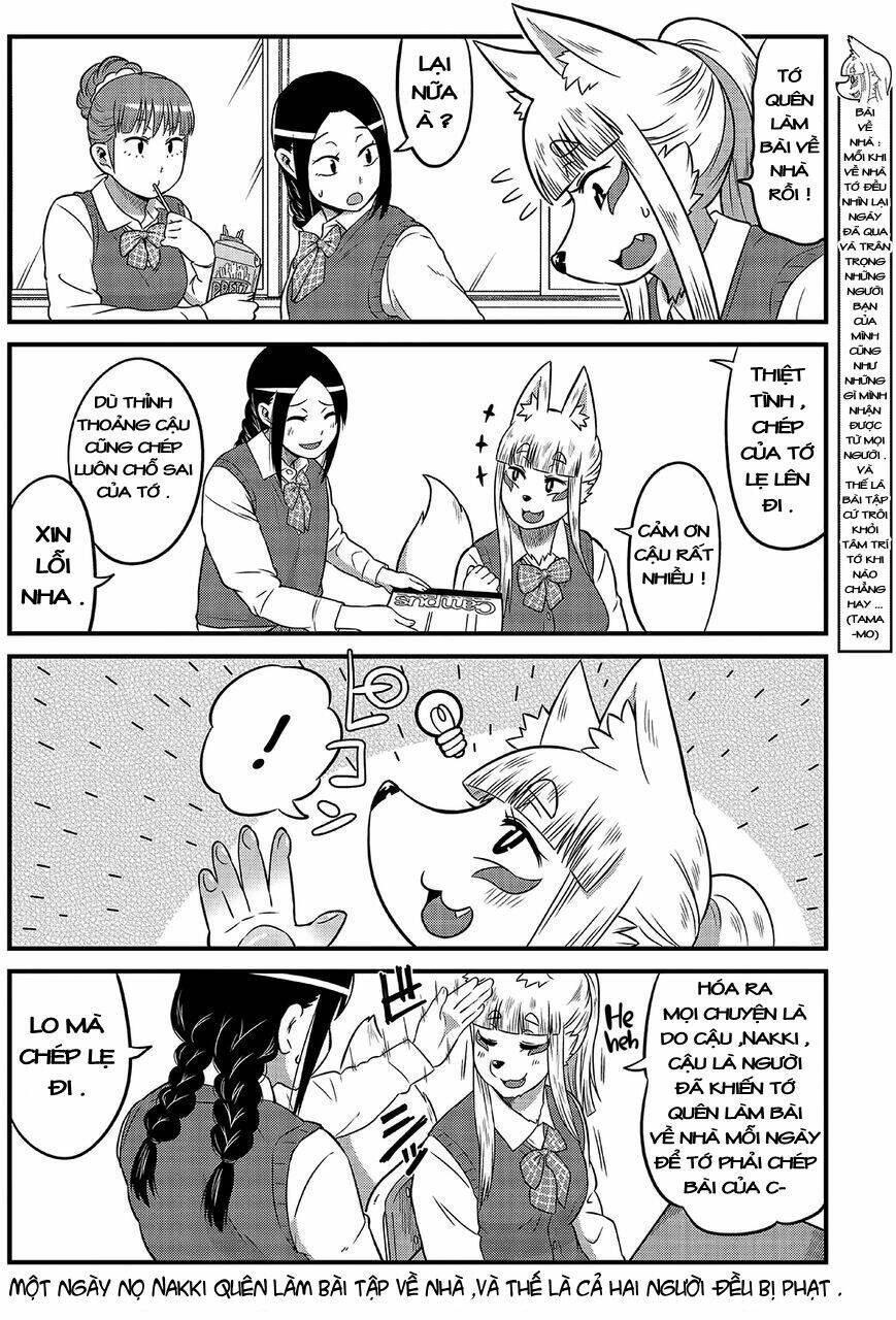 High School Inari Tamamo-Chan: Chapter 6