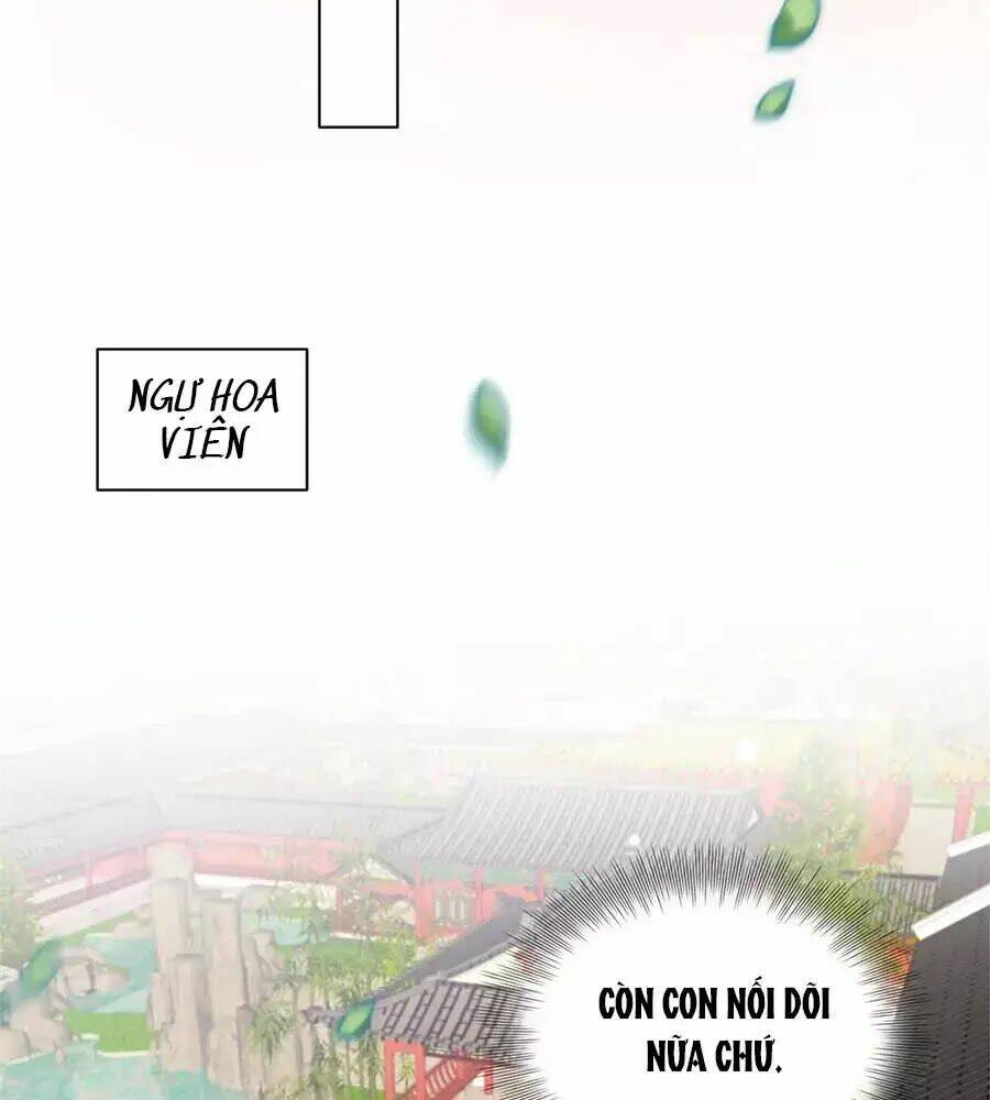 Vương Phi Thông Linh: Chapter 2