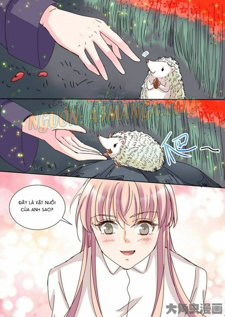 Bá Đạo Tổng Tài Yêu Ta: Chapter 56