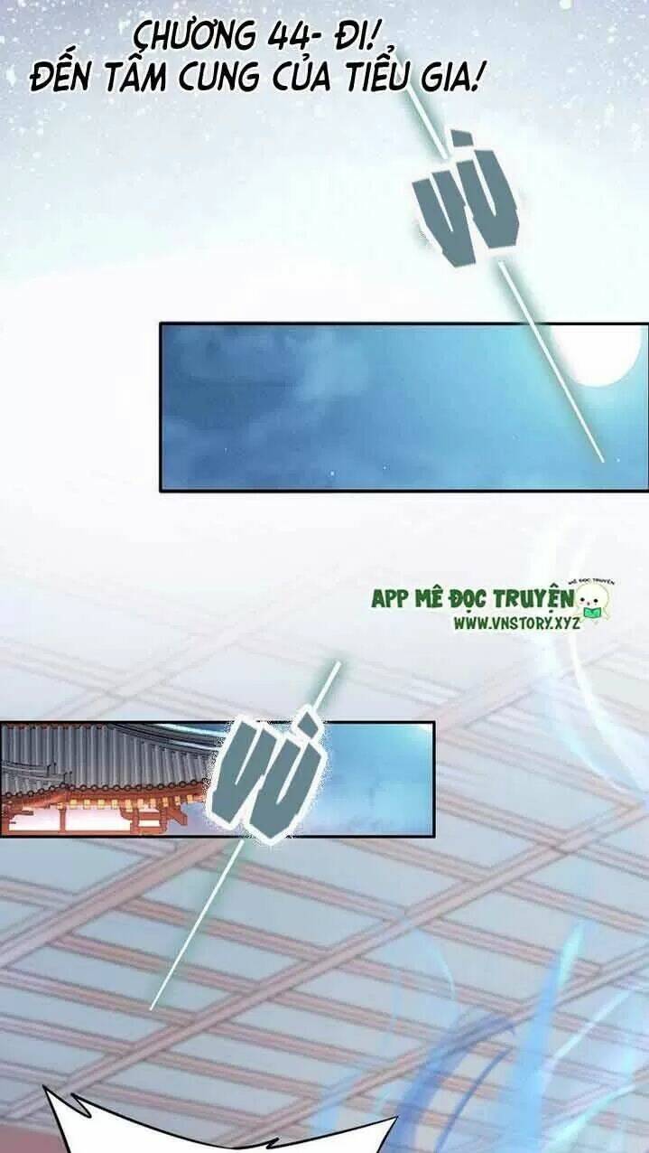 Nhất Sinh Nhất Thế Tiếu Thương Khung: Chapter 44