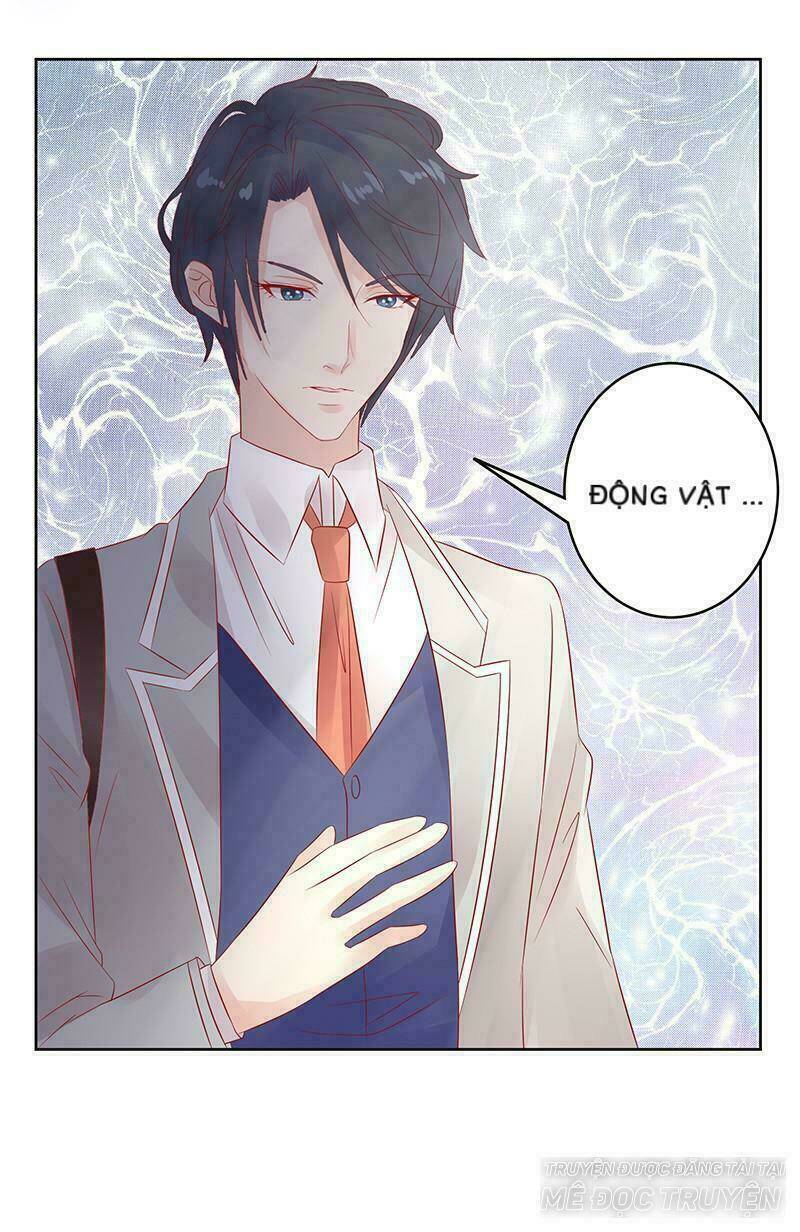 Băng Sơn Học Trưởng Không Được Chọc: Chapter 13