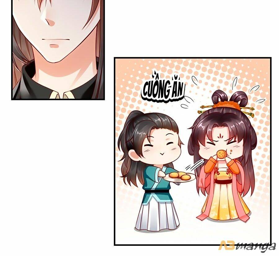 Vương Phi Là Đoá Bạch Liên Hoa: Chapter 3