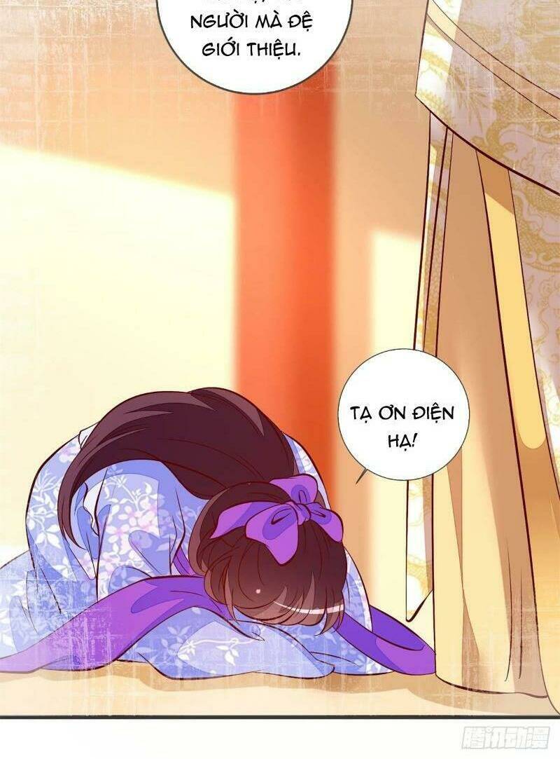 Đế Hoàng Chi Thần Y Khí Phi: Chapter 40