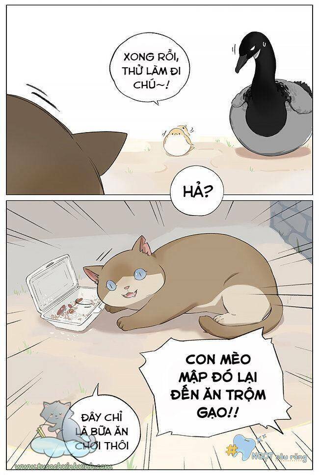 Chim Sẻ Gọi Ngỗng Trời: Chapter 4