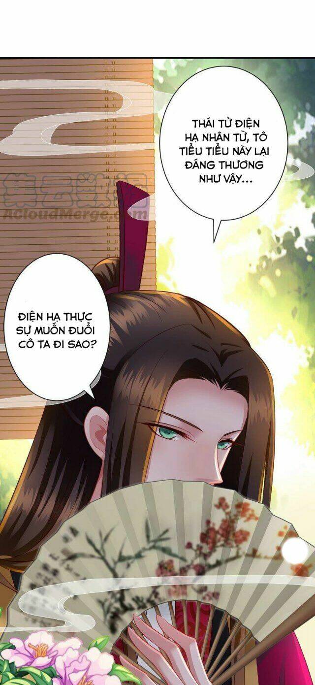 Thái Tử Điện Hạ Có Tin Vui: Chapter 146