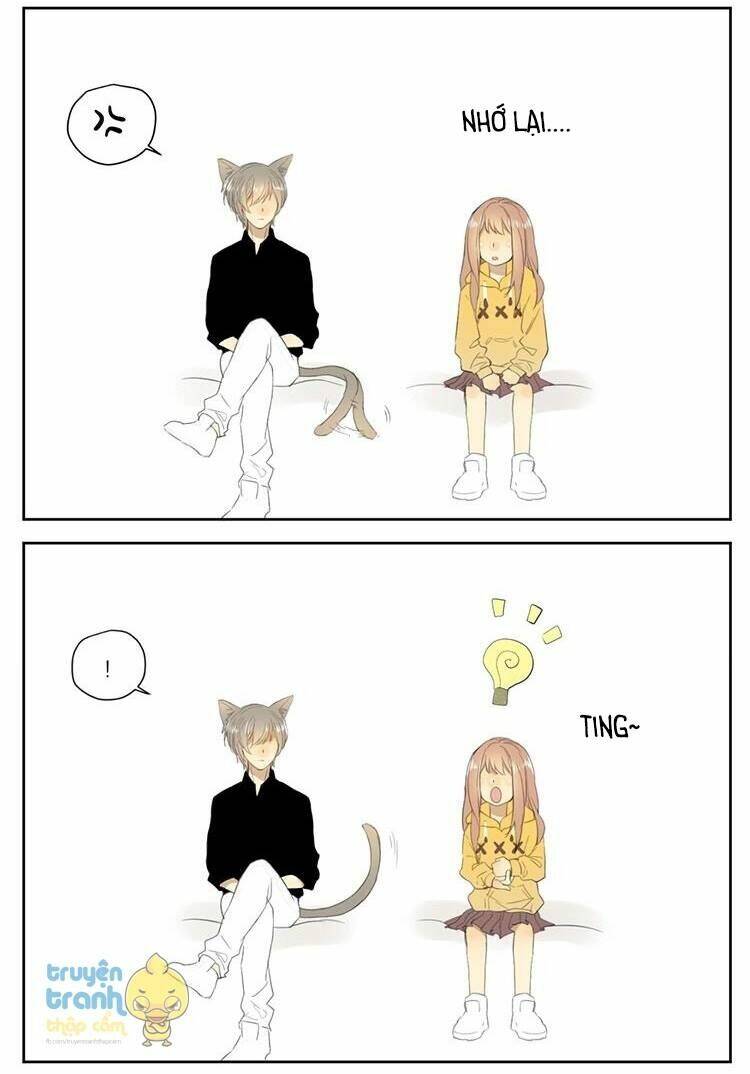 Cứu Mạng! Loài Mèo Thống Trị Thế Giới Rồi!: Chapter 26