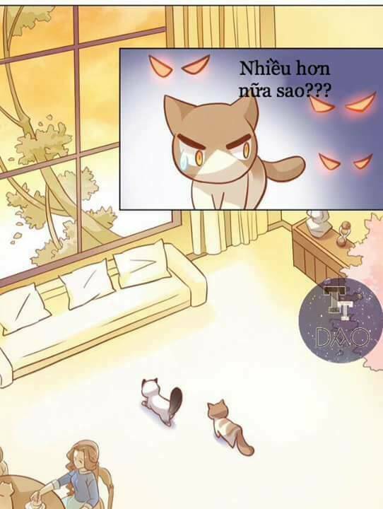 Dưới Móng Vuốt Mèo: Chapter 8