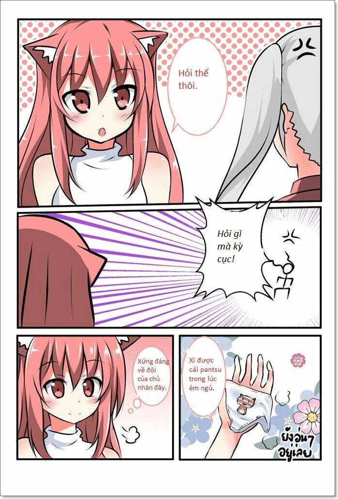 Cat story: Chapter 0.3