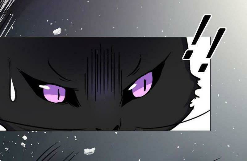 Thập Nhị Hắc Miêu: Chapter 5