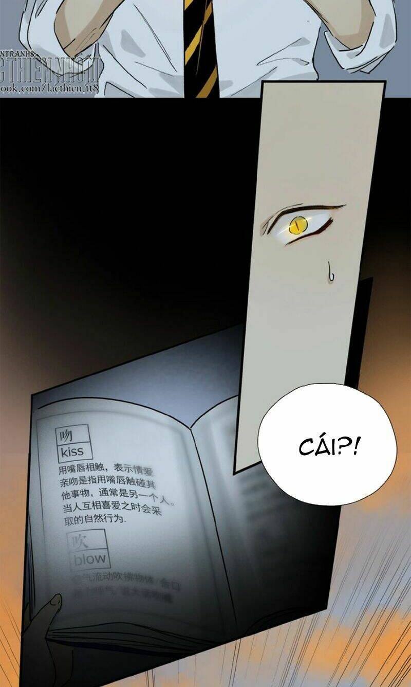 Phép Tắc Trường Ogus: Chapter 11